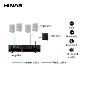 2 Zone PA System Background Music Kit for Cafe Restaurant Commercial Audio Solution with Wall Mount Speakers