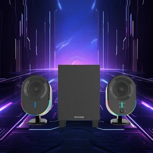 2.1 Channel Wireless RGB Gaming Speaker with AUX Type C Input for PC Use 10 30W Output OEM ODM Supported Factory