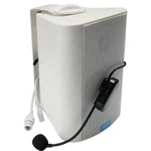 2.4g Wireless Headset Microphone IP Network Speaker Multimedia Teaching Wireless Microphone Wall ceiling Mounted Speaker