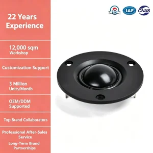 2.5 Inch 66mm Round Panel 25mm VC Silk Dome 4Ohm 10W Internal Magnet Tweeter Speaker Driver