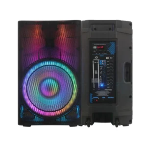 2000W 15 Inch Speaker 2 Way Karaoke PA Speaker Audio System Battery Sound Box With Full Translucent RGB LED Flame Light Bochina