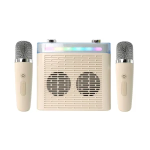 2000mAh Large Capacity Speaker with 2 Microphones Portable Home Party Speaker with AUX USB TF Card