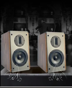 200W 5.25 Inch Speaker High Power Bookshelf Hifi Audio Passive Home Theater High Fidelity Audio Speaker