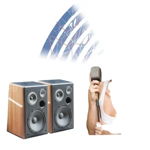 20~200W 8 10 Inch Wooden Bookshelf Speaker Woofer 4ohm KTV Treble Fever HIFI Passive Home Audio Sound Music Amplifier Speaker