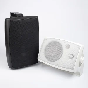 205 5.25 40W Customized Coaxial Hang Wall Mount Speaker for Office School Hospital