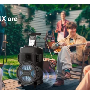 20W Bluetooth Party Speaker with Karaoke RGB Lights and Portable Handle Indoor Outdoor Event Speaker for DJ Home Party
