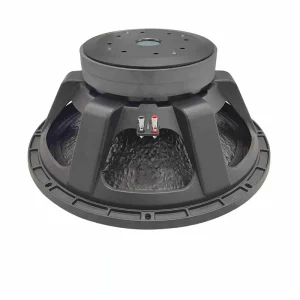 21 Inch 2000W AES Subwoofer Professional Car Audio Speaker