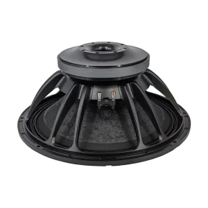 21 Inch Active Pro Subwoofer Speaker 2500W Double Spider 5 Inch Voice Coil for Outdoor Stage Use Bass Subwoofer 21TBW 125
