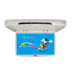 22inch Screen DVD Roof Mounted Monitor Manual Coach Ceiling Mounted Monitor Bus TV Flip Down Monitor