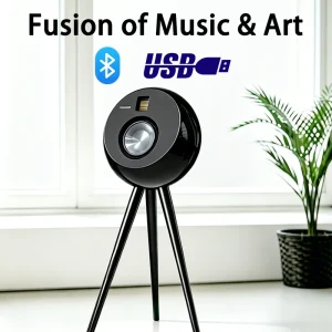 260W Bluetooth Speaker 5.5 Inch Woofer Wireless Home Theater BT Speaker Subwoofer with Remote Control OEM Factory