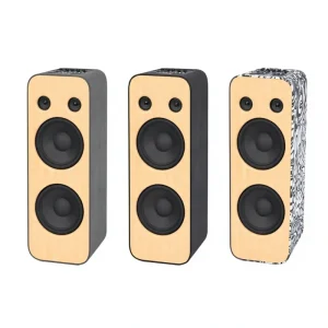 2×10 Inch 9000mAh Party Speaker with 3 KTV Modes 4 Ohm for Indoor Outdoor Wireless Karaoke Party Speaker