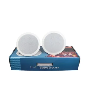 2x10W BT Ceiling Speaker with Powerful Bass for Home Theater and Hotels