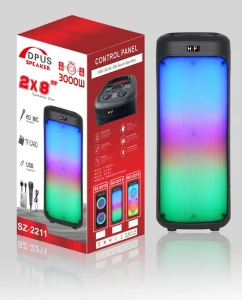 3000mAh RGB LED Light Dual 8 Inch Speaker Bass Outdoor Party Wireless DJ Karaoke Speaker Box with Mic