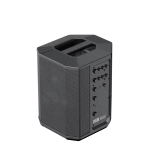 300W PA Speaker 2 Mics 2 Channel Mixer Mobile DJ Small Venue Rehearsal Event Professional Audio Equipment