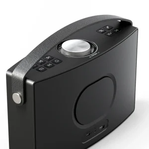 30W Portable DJ Party Karaoke Bluetooth Speaker