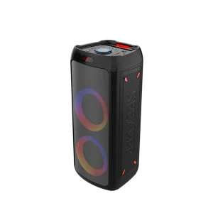 40W LED Dual 8 Inch TWS PA Speaker System Trolley DJ Bass Party Speaker with Wireless Microphone
