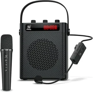 40W Rechargeable Small PA Speaker With Wireless Handheld Mic And Headset Mic