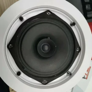 5” Dual Cone Ceiling Speaker 1.5W-3W-6W PA System High Efficiency Speaker Product