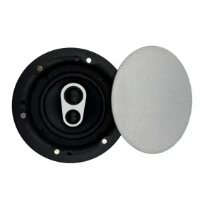 5 Inch 30W Waterproof Full Range Speaker Unit 4 Ohm Loudspeaker Driver for Outdoor and Home Audio