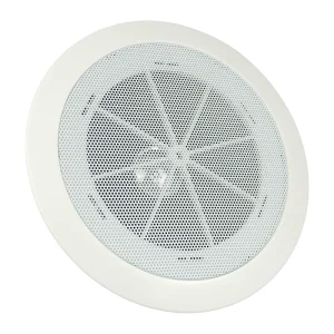 5-Inch Full Range Iron Loudspeaker In-Wall Ceiling Speaker 70-110V 10W for Public Address System