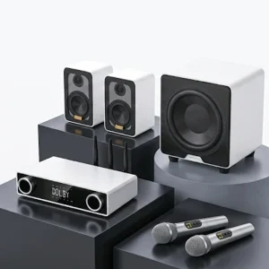 5.1 Channel 5G Wireless Audio System Connects to the Home Audio and Video Set with a Wireless Microphone Hifi Speakers