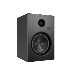 5.25 Inch 150W with Remote Control Built in DAC and DSP Bookshelf Bluetooth Speaker Studio Monitor Speakers