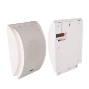 5.5 Inch Wall Mounted Speaker Hanging Speaker Hotel Mall Store