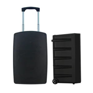 500W Class D Amplifier 15 Inch 2.0 Channel Portable Wireless Microphone Active PA System Two way Audio Crossover Karaoke Display