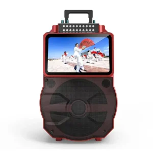 500W Party Speaker Video Player 10” Woofer 2-inch Tweeter USB Drive Audio Machine