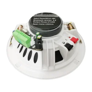6-Inch 15W Active Load Indoor Audio Ceiling Speaker Waterproof Digital Class D Amplifier Home Theatre RGB LED Battery for