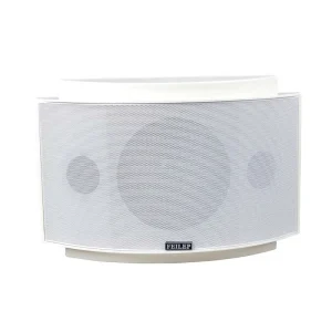 6″ Wall mounted Speaker Hanging Speaker Conference Speaker