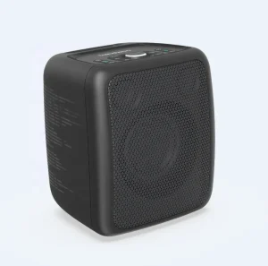 6.5 Inch Bass Speaker Bluetooth Party Speaker with Battery Karaoke Portable Party