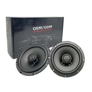6.5 Inch Coaxial High-Power 100W 4 Ohms Iron Car Audio Speaker 12V Universal