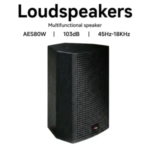 6.5 Inch Passive Full Range PA Speaker 80W RMS 320W Peak 103dB 8 Ohm MDF Cabinet Wall Mountable for Office Conference Room Cafe