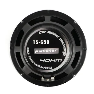 6.5 Inch Set Speaker Electronics Car Audio Speaker for Car Speaker Horn