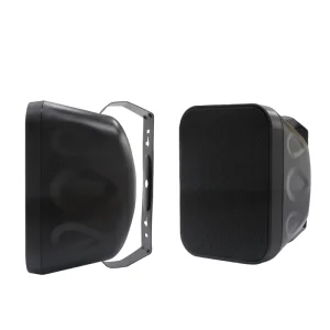 6.5″ Wall mounted Speaker Hanging Speaker Conference Speaker
