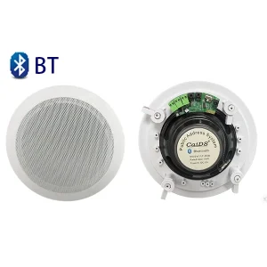 6.5″ Woofer Box Wireless Ceiling Speaker with 5.0 Dual Mode Remote and App Control for Home Hotel Background Music