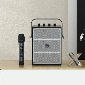 60W Home Party Speaker PA System Portable Karaoke Speaker With UHF Wireless Handheld Microphone