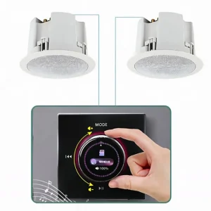 60W Wall Mounted Embedded Ceiling Speaker System for V6.0 Two Channel for Home Hotel Shop Cafe Background Music