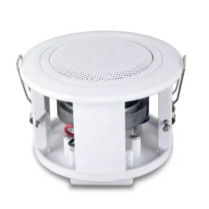 6W Ceiling Speaker Indoor Speaker System