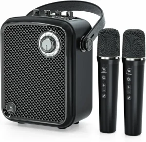 70W PA Karaoke Speaker With Original Sound Pro System