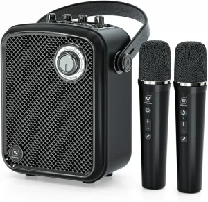 70W PA Karaoke Speaker with Original Sound Pro System