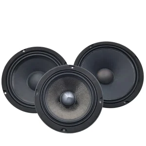 8 Inch Car Woofer Speaker OEM ODM Audio Driver Unit for Vehicle Audio