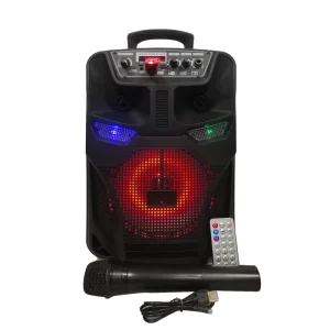 8 Inch Horn Outdoor Speaker Professional Audio Portable Stereo Speaker with Microphone