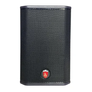 8 Inch With Wireless Mic Instrumental Party Portable Bluetooth Speaker