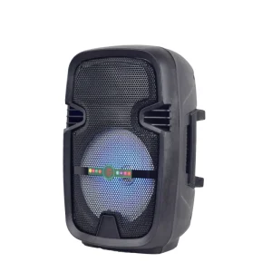 8-Inch Woofer with LED Lights Portable Active Outdoor DJ Powered Karaoke Speaker Wireless Partybox for Parties