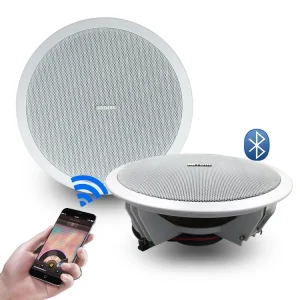 8 inch Active Ceiling Speaker Box Sonidos 12 to 15V Wireless BT5.0 Amp Module + Party Passive Speaker 6.5 Wireless Sonorisation