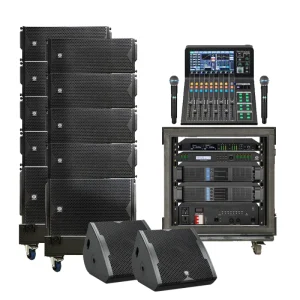 (8+2+2) Dual 10 Inch Mono Passive Line Array Speaker LA Series 700W/500W Wood Shell XLR/Speakon