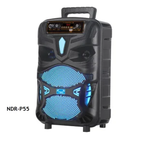 8英寸DJ低音扬声器 altavez Portatil派对盒310无线沙滩扬声器，TWS，便携式有源DJ卡拉OK扬声器，带麦克风