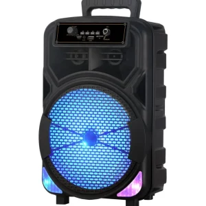 8inch 5.0 Speaker RGB LED Portable for Outdoor Singing Mobile KTV Square Dancing Subwoofer